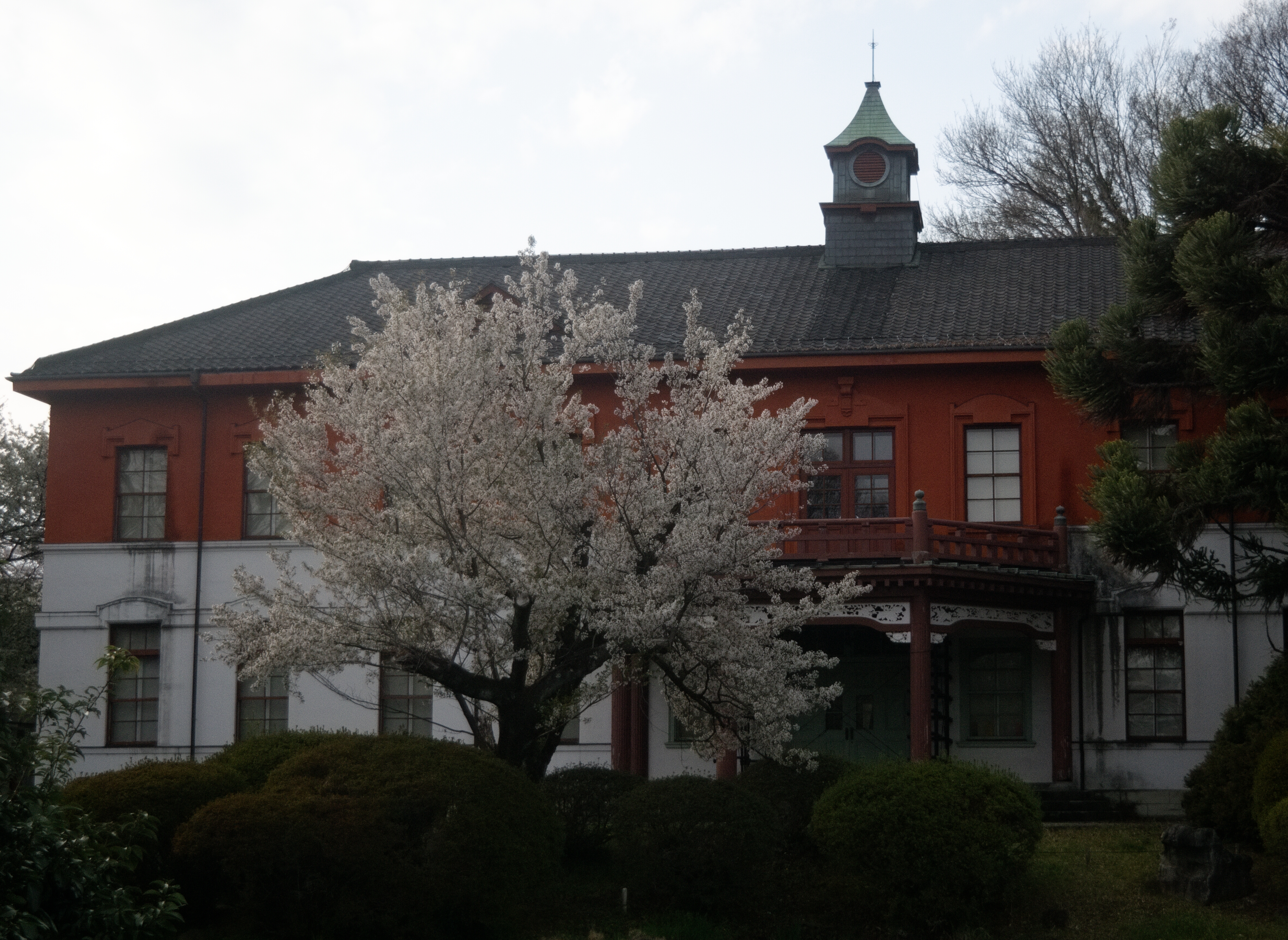Koishikawa Botanical Garden
